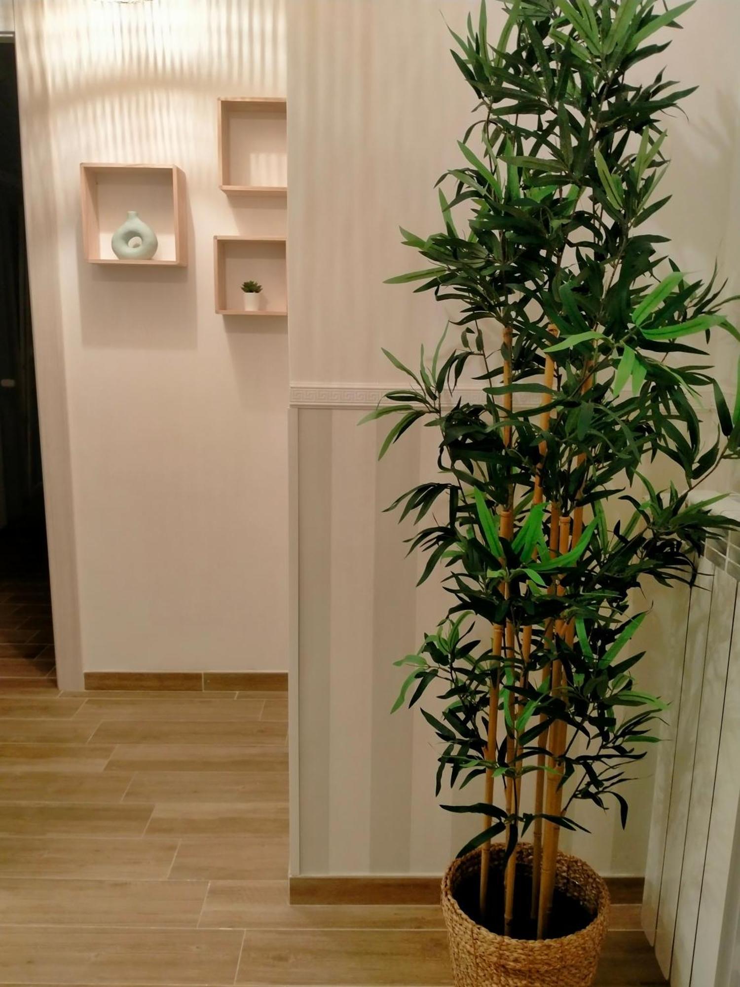 The Green Place Alloggio Turistico 로마 외부 사진